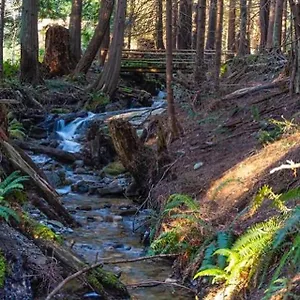 Bed & Breakfast Forest Haven Hideaway